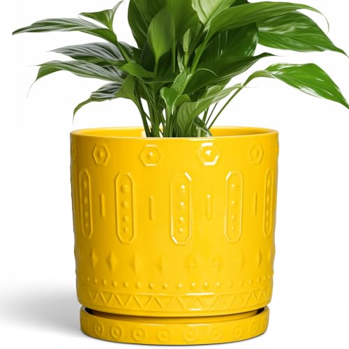 Eightpot 8 Inch Plant Pot, Ceramic Pots for Plants with Drainage Hole and Sacuer, Round Flower Pots for Indoor Outdoor Plants, Modern Decorative Planter, Table Decor, Plant Gifts for Women, Yellow - color: Yellow, size: 8 Inch