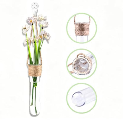 Propagation Tube, with Wall Mounted Design, 4 Piece Glass Plant Tubes | Clear Wall Terrarium, Hydroponic Plant Holder, for Home Décor