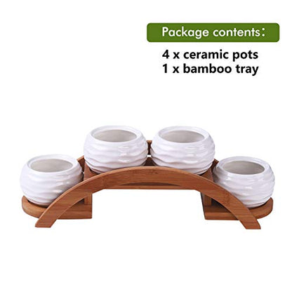 E-liu Eliu Cute Small Ceramic Succulent Pots and Stand Set, Pack of 4 | White Succulent Planter Pot with Drainage Fits Well In Windowsills, Office Indoor Decoration, Plants Not Included