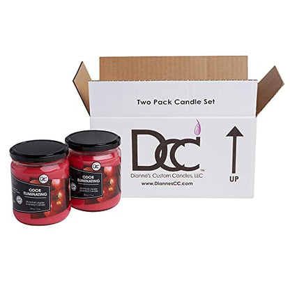 McIntosh Apple 2 Pack Odor Eliminating Highly Fragranced Candle - Eliminates 95% of Pet, Smoke, Food, and Other Smells Quickly - Up to 80 Hour Burn time - 12 Ounce Premium Soy Blend - color: Mcintosh Apple 2 Pack