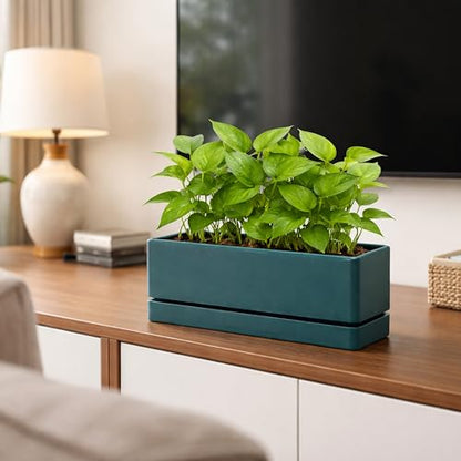 D'vine Dev 2-Pack Rectangular Planters, 12 x 4.5 in, Green, 76-X-C-2 | Minimalist Design, Large Planting Capacity, Drainage Holes & Saucer, Thick-Walled Durable Build, Ideal for Windowsills - color: Green
