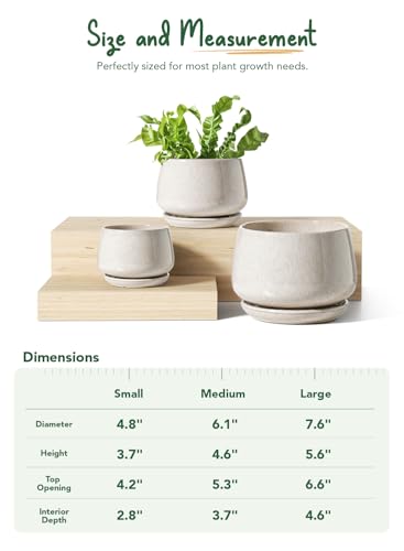 LE TAUCI Plant Pots, 4.1+5.1+6.5 inch, Set of 3, Ceramic Planters with Drainage Hole and Saucer, Indoor Flower Pot with Hole Mesh Pad, Gifts for Mom, Reactive Glaze Beige - color: Reactive Glaze Beige