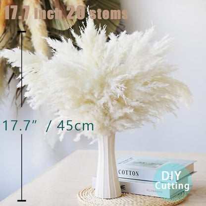 30 Stems White Pampas Grass Fluffy, Boho Home & Party Decor, Natural Pompas Grass for Living Room & Table Decor, Gift (17.7 inch, 30 White ) - size: 30white - 17 Inch