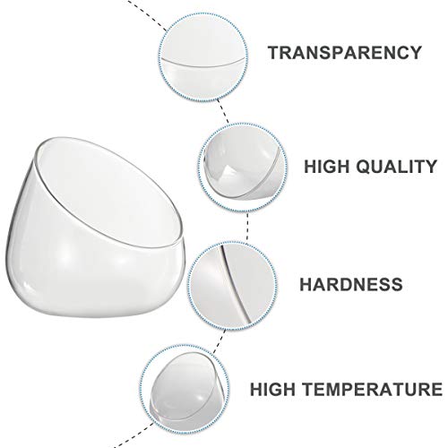 Cabilock Clear Slant Cut Bubble Bowl Glass Vase Bowl Round Globe Planter Terrarium Orb Candy Dish Fruit Jar Floral Container for Home Office Decor