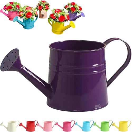 Tinplate Watering Kettle 1L, Mini Metal Watering Can with Long Spout and Handle, Vintage Flower Sprinkling Can for Indoor Plants, Patio and Garden Use (Dark Purple-C01) - color: Dark Purple-c01