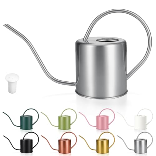 Plant Watering Can, 50 oz / 1500 ml Stainless Steel Metal - Modern Decorative with Long Spout for Indoor Potted Plants, Bonsai, Garden Flowers, Silver - color: Silver