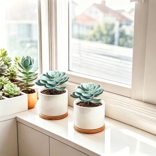 2Pcs Artificial Succulent Plants, Lotus Flower Realistic Fake Succulents, Blue Green - color: Blue Green