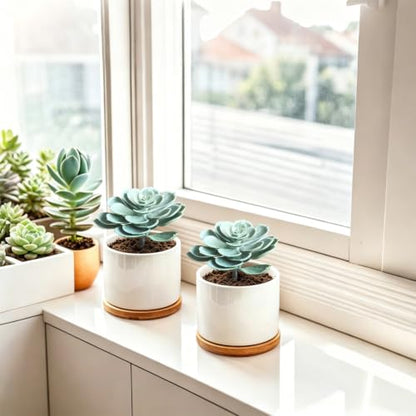 2Pcs Artificial Succulent Plants, Lotus Flower Realistic Fake Succulents, Blue Green - color: Blue Green