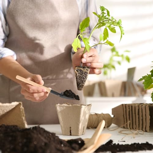Happyyami 15pcs Mini Gardening Tool Kit for Succulents and Indoor Plants, Portable Small Transplanting and Weeding Hand Tools Set for Bonsai Cultivation and Flower Pot Care