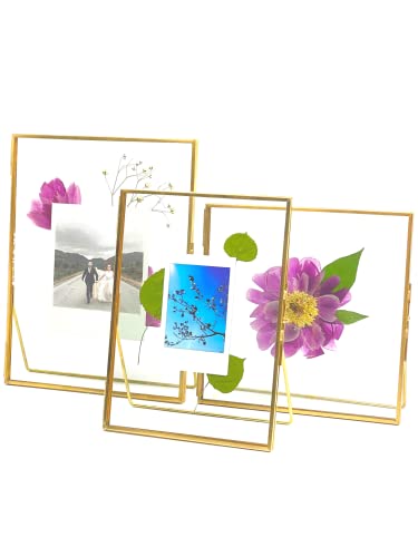 Beedecor Double Glass Frame for Pressed Flowers, Leaf and Artwork Set of 3 Pressed Flower Frames with Stand - 6x6, 5x7 and 6x8 Gold Standing Square Metal Picture Frames, Tabletop Clear Floating Pressed Glass Frame, Home Decor Photo Display (Gold, Set of 3
