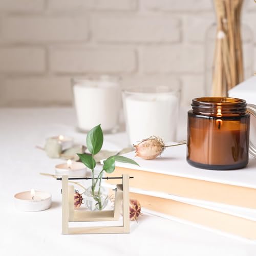 10pcs Plant Propagation Stations Rack - Tabletop Plant Terrarium Hanger Rod - Replacement Hydroponic Water Vase Stand for Home Office 10cm - size: 10.00X0.50X0.50CM