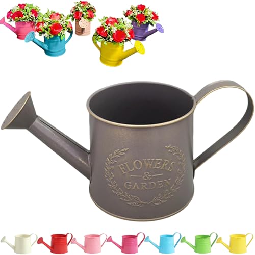 Tinplate Watering Kettle 1L, Mini Metal Watering Can with Long Spout and Handle, Vintage Flower Sprinkling Can for Indoor Plants, Patio and Garden Use (Retro Brown-D04) - color: Retro Brown-d04