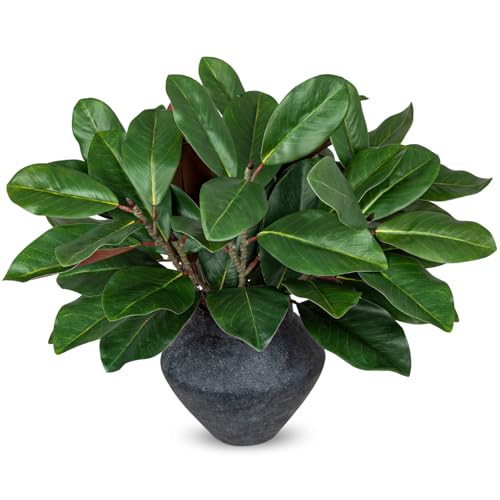 Briful 6Pack Faux Magnolia Branches 22in Artificial Magnolia Leaves Stems Real Touch Faux Greenery for Home Office Room Table Vase Farmhouse Decor - color: 6pack-green Brown