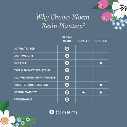 Bloem Saturn Planter w/Saucer 5" Charcoal Gray (SP05908) - color: Charcoal Gray, size: 5"