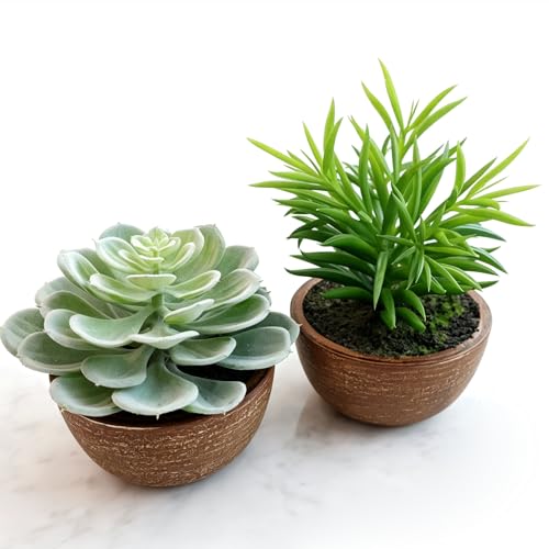Artificial Succulents Plastic Artificial Green Plant for Office, Fake Succulents for Home Decoration (Set of 2 Succlents in Pots) - color: Set of 2 Succlents in Pots