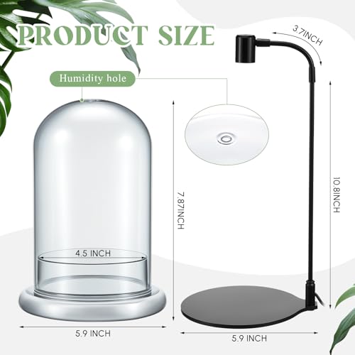 Plant Terrarium Kit with Grow Light, 4.8'' x 7.87'' Glass Dome Terrarium with Air Hole and Base, Succulent Air Planter Fern Moss Micro Landscape Vase for Home Office Tabletop Decoration