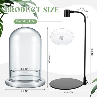 Plant Terrarium Kit with Grow Light, 4.8'' x 7.87'' Glass Dome Terrarium with Air Hole and Base, Succulent Air Planter Fern Moss Micro Landscape Vase for Home Office Tabletop Decoration
