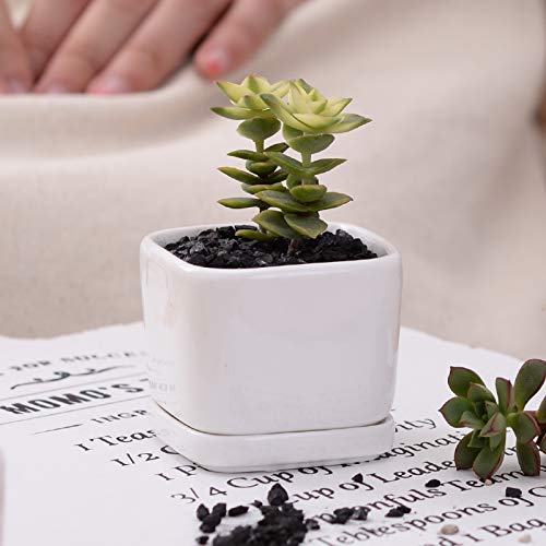 Mini 6 Set of 2x2x1.65inch Square Modern Minimalist White Ceramic Succulent mini Planter Pot/Window Box with Saucer (6, 2inch)