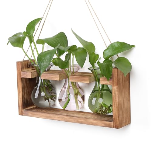 Plant Propagation Station Plant Terrarium Unique Birthday Gifts for Women | Plant Lovers Home Office Decor Planter with Wooden Stand - 3 Bulb Glass Vase - color: Color02