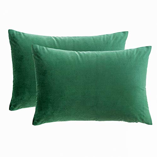RainRoad Dark Green Throw Pillow Covers 12x20 Inch,Set of 2 | Soft Square Throw Pillows Velvet Decorative for Couch Bed - color: Dark Green, size: 20" x 12" (Pack of 2)