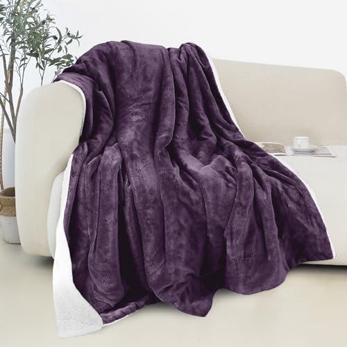 Elegant Comfort Reversible and Ultra-Plush Flannel Fleece Sherpa Throw- Lightweight Soft and Cozy- All Season Decorative Throw, Perfect for Lounging, 50 x 60 inches, Purple - color: Solid Purple, size: 50 X 60
