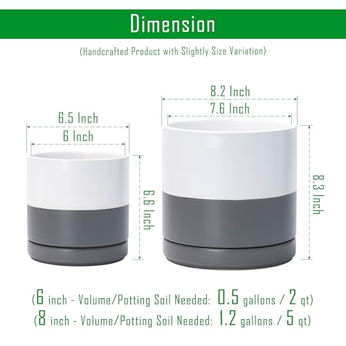 D'vine Dev 2-Pack Ceramic Pots with Saucers, 6/8 in, White/Grey, 94-G-M-6 | Glazed Ceramic, Drainage Hole, Perfect-Fit Saucer, Sleek Cylinder Shape, High Temperature Fired, Elegant Home Accent - color: White/Speckled Grey, size: Medium