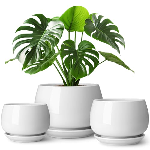 vancasso 3-Pack Ceramic Plant Pots, 3.7/4.8/6.2 Inch Indoor Planters with Saucers & Drainage Hole Planter pots for Indoor Plants and Flower, White - color: White, size: Small-3pcs/Set