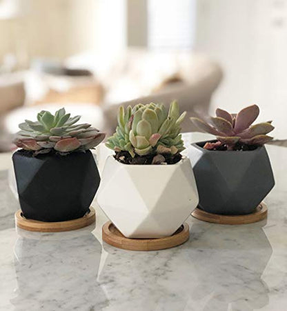 Modern Geometric Ceramic Succulent Pots 3" Planters with Drainage | Bamboo Tray | 3 Pack - color: White Black Grey Geometric 3"