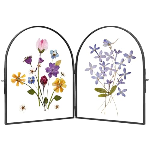 REDHUGO Double Glass Frame for Pressed Flowers Arc Black, 8×10 Inches | Handmade, Pressed Flower Frame, Hinged Tabletop Brass Photo Frames, Dried Flower Display Folding Picture Frame for Home - color: Black, size: 8L" x 10W"