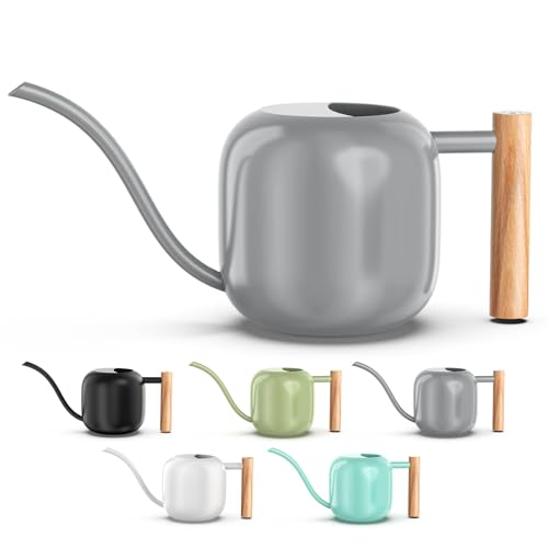 1.2L/41oz Metal Metal Watering Can with Long Spout, Gray | Metal Stainless Steel Watering Can for Indoor Plants, House Bonsai, Succulents, and Garden Flowers, Decorative Watering Cans - color: Gray