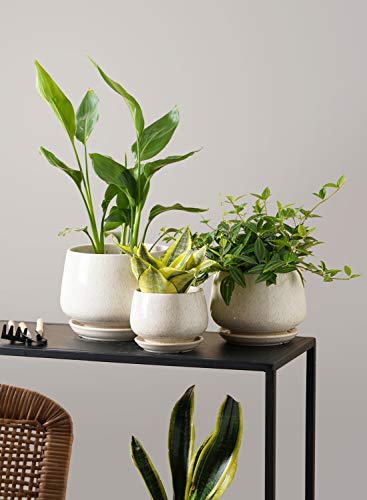 LE TAUCI Plant Pots, 4.1+5.1+6.5 inch, Set of 3, Ceramic Planters with Drainage Hole and Saucer, Indoor Flower Pot with Hole Mesh Pad, Gifts for Mom, Reactive Glaze Beige - color: Reactive Glaze Beige