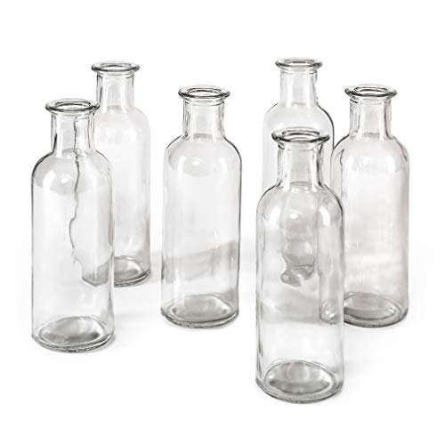 Serene Spaces Living Clear Glass Bud Vases – Vintage Apothecary Jars, Decorative Bottles for Weddings, Antique-Style Centerpieces, and Flower Arrangements - Set of 6 (6.5" Tall & 2" Diameter) - color: Clear, Large, Set of 6