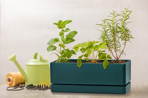 D'vine Dev 2-Pack Rectangular Planters, 12 x 4.5 in, Green, 76-X-C-2 | Minimalist Design, Large Planting Capacity, Drainage Holes & Saucer, Thick-Walled Durable Build, Ideal for Windowsills - color: Green