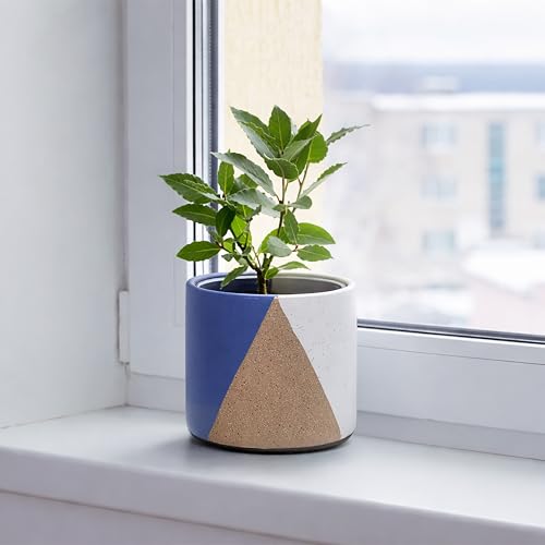 D'vine Dev 2-Pack Cachepot with Clear Pot, 4.5 in, Cobalt Canyon, 93-V-B-3 | Dual-Pot System, Root Visibility, Bottom Watering Support, Enhanced Drainage, Artistic Stoneware Design, Easy Plant Care - color: Cobalt Canyon, size: 4.5” Cachepot + 4“ Clear Gr