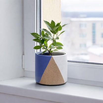 D'vine Dev 2-Pack Cachepot with Clear Pot, 4.5 in, Cobalt Canyon, 93-V-B-3 | Dual-Pot System, Root Visibility, Bottom Watering Support, Enhanced Drainage, Artistic Stoneware Design, Easy Plant Care - color: Cobalt Canyon, size: 4.5” Cachepot + 4“ Clear Gr