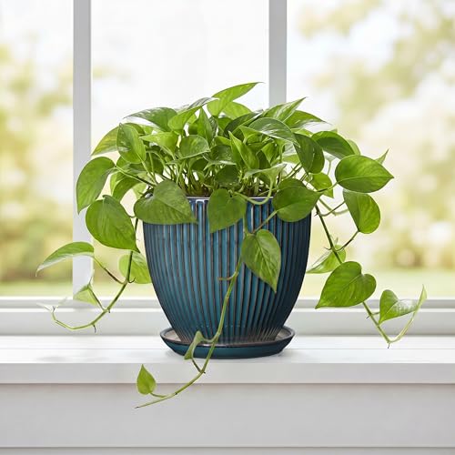 6 Inch Plant Pot, Ceramic Flower Pots for Indoor Plants, Round Planters with Drainage Hole and Saucer, Decorative Small Modern Flower Pots, Home Room Decor, House Warming Gifts, Retro Blue - size: 6 Inch, style: Retro