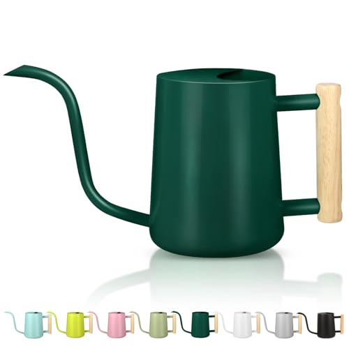 Watering Can Indoor Plants, 35oz Small Indoor Stainless Steel Metal Watering Can Modern Decorative Watering Pot with Long Spout for Indoor House Plant Bonsai Garden Flowers (Alpinegreen) - color: Alpinegreen