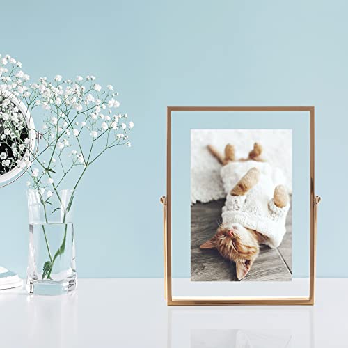 Lawrence Frames Metal Easel Float Picture Frame, 4x6, Gold - color: Gold, size: 4x6