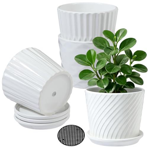 sietpoek 5.5” Ceramic Plant Pots with Drainage and Saucer 4PCs White | White Ceramic Flower Pots with Drainage Hole and Saucer, Decorative Planter for Indoor Outdoor Garden Plants Succulen - size: 5.5 Inch