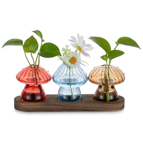 Glasseam 3Pcs Mushroom Propagation Station: Glass Terrarium Jar for Plants | With Wood Stand, Colorful Handmade Hydroponic Vase, Indoor Home Tabletop Windowill Decor, Office, Cute Plant Lover Gifts - color: Multicolor, size: 3Pcs