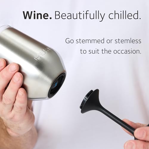Huski Wine Tumbler 2.0 | NEW | Award-winning Design with Detachable Stem | Premium Stainless Steel Wine Glass with Lid | Triple Insulated Tumbler | 12oz Capacity | Great Gift (Brushed Stainless) - color: Brushed Stainless