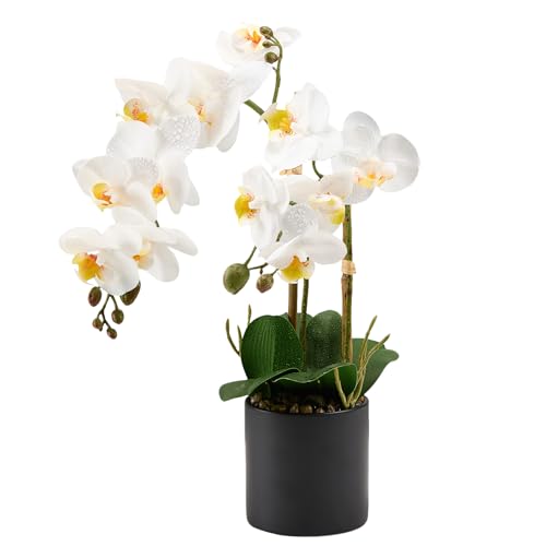 17" Artificial White Phalaenopsis Orchid in Modern Black Ceramic Pot | Realistic Faux Flower Arrangement for Bathroom, Bedroom, & Dining Table Decor - Low-Maintenance Luxury Home Accent