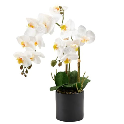 17" Artificial White Phalaenopsis Orchid in Modern Black Ceramic Pot | Realistic Faux Flower Arrangement for Bathroom, Bedroom, & Dining Table Decor - Low-Maintenance Luxury Home Accent