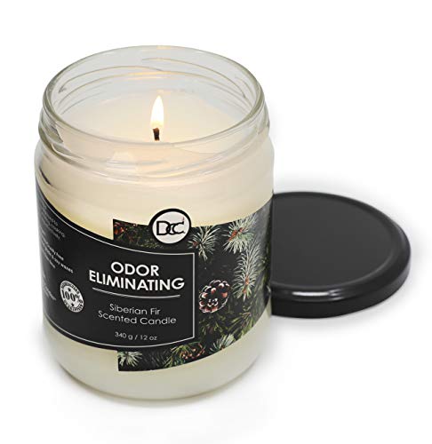 Siberian Fir Odor Eliminating Highly Fragranced Candle - Eliminates 95% of Pet, Smoke, Food, and Other Smells Quickly - Up to 80 Hour Burn time - 12 Ounce Premium Soy Blend - color: Siberian Fir