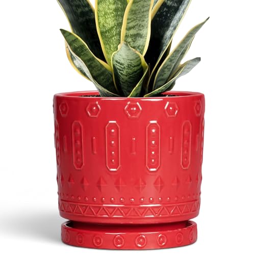 Eightpot 6 Inch Plant Pot, Ceramic Flower Pots for Indoor Outdoor Plants, Round Pots for Plants with Drainage Hole and Tray, Boho Decorative Planter, Kitchen Decor, Gardening Gifts for Women, Red - color: Red, size: 6 Inch