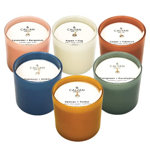 Dignity Series Scented Candle Gift Set - 6 Soy Wax Candles | 35 Hour Burn - Made in the USA Luxury Clean Soy Wax Candles - Long Lasting Colorful Ceramic Jar Candle for Home - 5.3oz - color: Gift Set