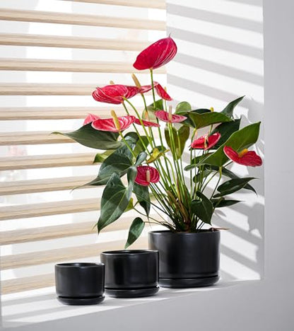 Flower Pots,Ceramic Pots with Drainage Holes & Saucer Set of 3(Matte Black) | Planters for Indoor Plants | Small Succulent Pots | Cute Pots for Plants | Ceramic Planter | 4+5+6.5 Inch Garden Pots - color: Matte Black