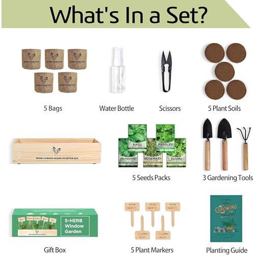 Meekear 5 Herb Seeds Garden Starter Kit with Complete Planting Kit & Wooden Flower Box, Growing into Basil, Parsley, Rosemary, Thyme, Mint for Kitchen Windowsill Herb Garden DIY