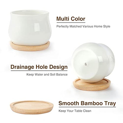 SHECIPIN 12 Pack Succulent Plant Pot, Mini 2.6 inch Ceramic Flower Planter Pot with Bamboo Tray, Small Pots for Plants, Plants Not Included （White, Black） - color: Black,white