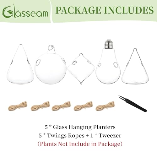 Glasseam Hanging Plant Propagation Station: 5Pcs Small Glass Terrarium Jars | Hydroponic Planters for Indoor Pothos Cutting Propagate, Home Wall Window Decor, Handmade, Gifts for Plant Lovers